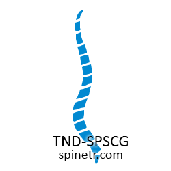 Türk Nöroşirurji Derneği Spinal ve Periferik Sinir Cerrahisi Grubu