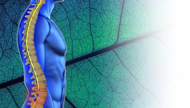 Belde Kanal Daralması Tedavisi