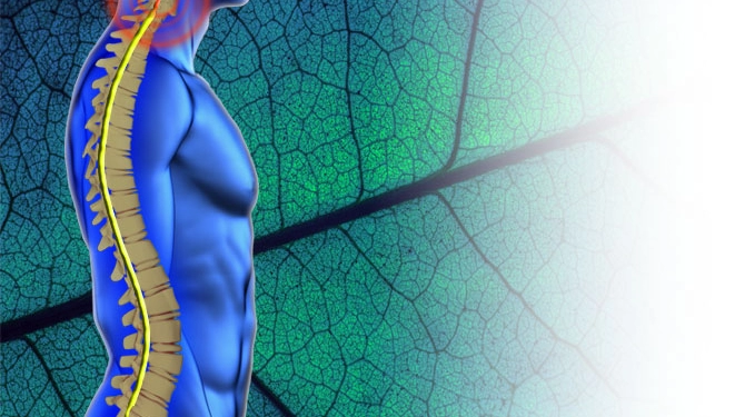 Boyunda Kanal Daralması Tedavisi