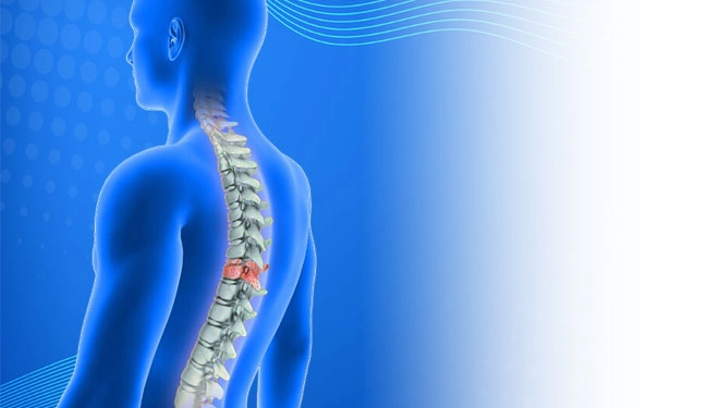 Omurga Enfeksiyonları