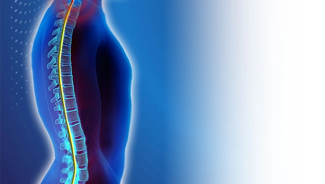 Omurga ve Omurilik Yaralnmaları